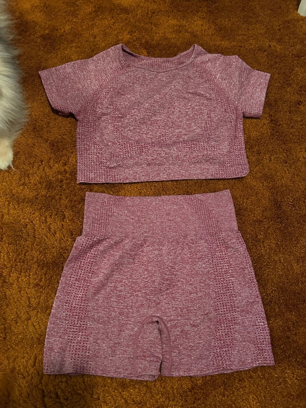 Gym set shorts and crop top